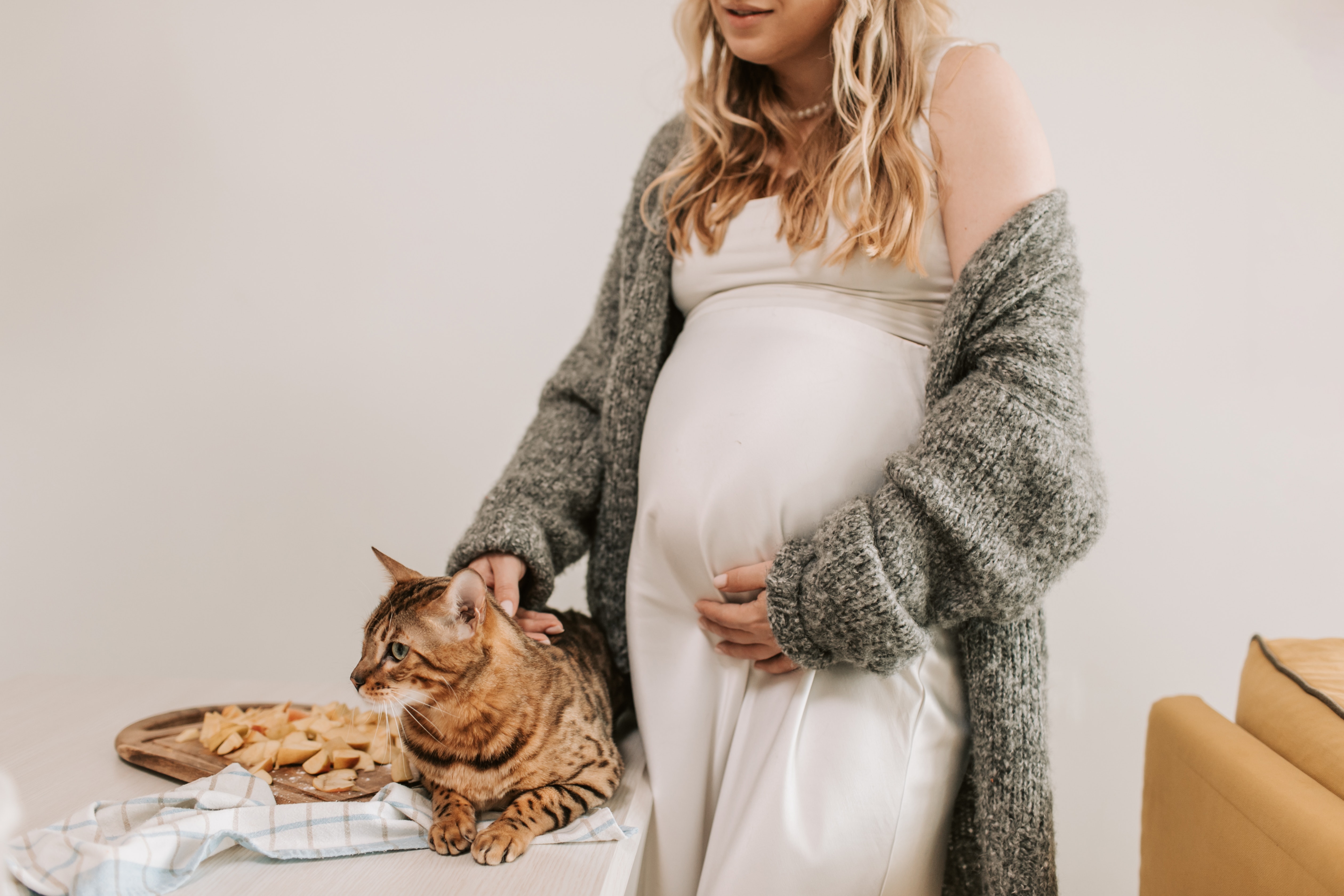 Toxoplasmosis and pregnancy