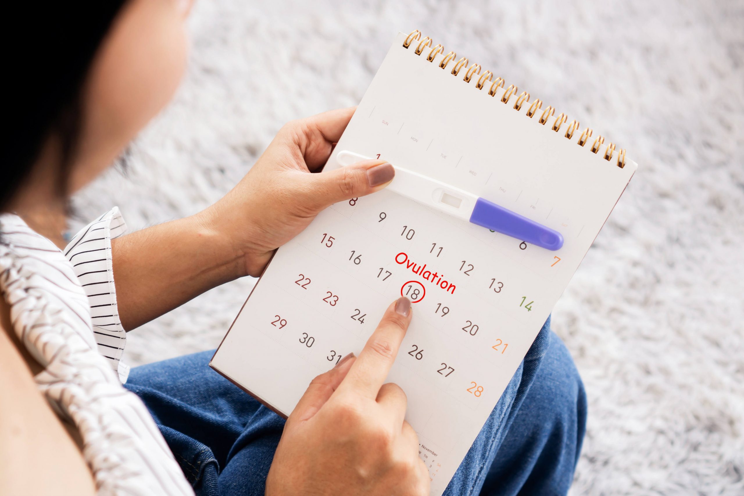 L'ovulation: le moment de la fertilité!